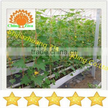 strawberry vertical cultivation growing plastic tray made in china