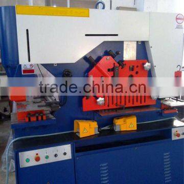 Q35Y multi-purpose punching and shearing machine