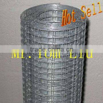 Electro galvanized welded wire mesh(direct factory)