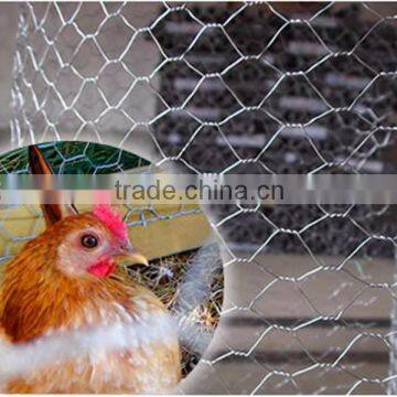 Electro galvanized hexagonal chicken wire mesh 1/2 inch