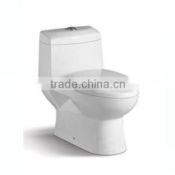 Ceramic One Piece Toilet with Water System