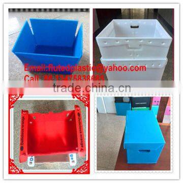 PP plastic coroplast box/container/tray/carton/shelf bin for storage packing and shipping