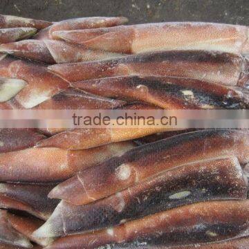 Frozen Squid /Illex Squid /Argentine Squid