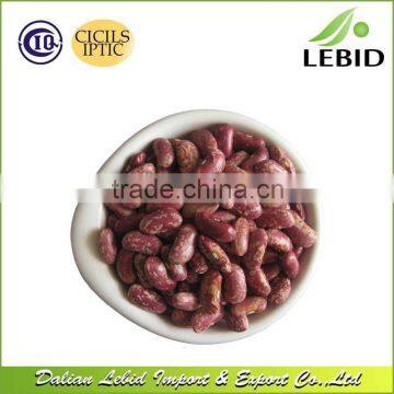 High Quality Red Speckled Kidney Beans 2016 Crop With Low Price