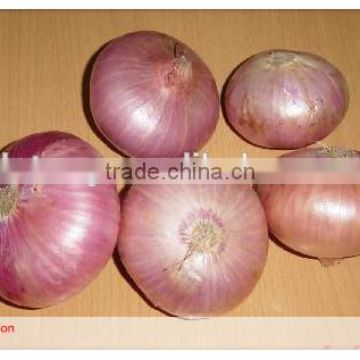 Fresh Yellow Onion Shandong Origin