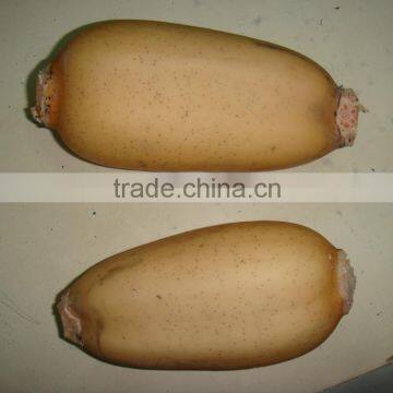 Fresh Lotus Root in Vacuum packaging