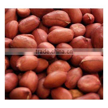 Red Skin Peanuts 50/60 40/50/blanched Peanuts/peanut in Shell photo-3