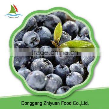 IQF Frozen blueberry