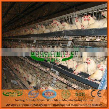 Poultry Farming Chicken Cage System