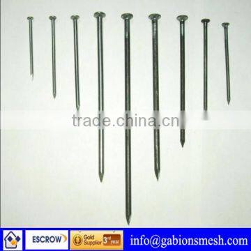 China professional manufacturer large steel nails with high quality/low price