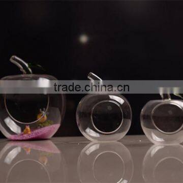 Micro landscape ecological Apple shape with green leaf Meaty plant glass vase DIY 16L003