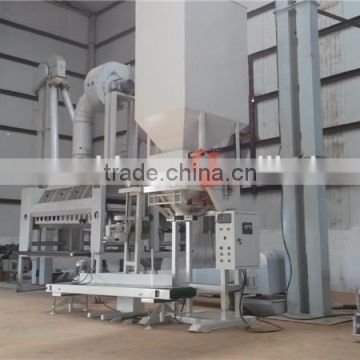 Corn Maize Seed Cleaning and Packing Plant