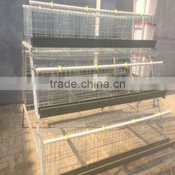 chicken egg layer cages price for Africa Market