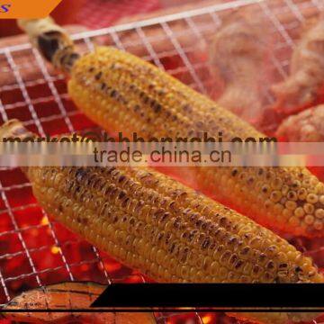 BBQ Net Grill Net Crimped Wire Mesh With Low Price photo-3