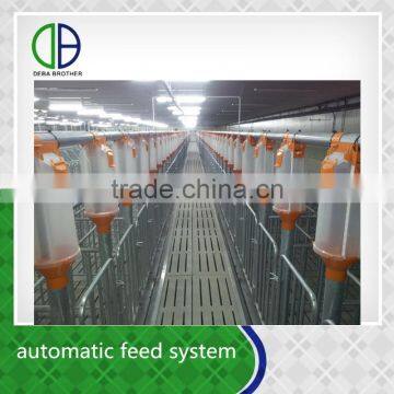 Pig raising feed system save time and labor