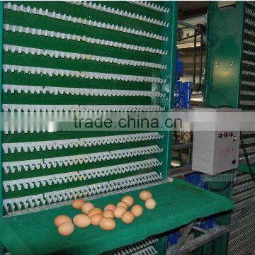 no noise auto egg collector for chicken farm