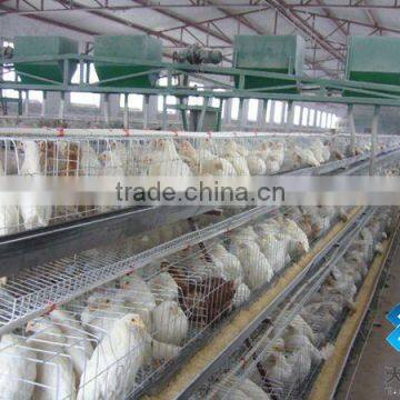 Chicken Cages/layer Chicken Cage photo-3