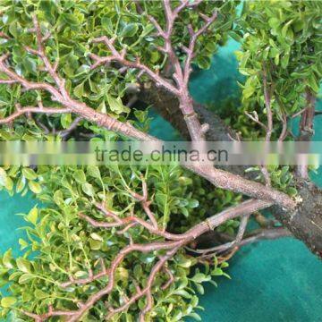 Home Garden Decoration 50cm to 160 cm Hight Small Indoor Canadian Artificial Green Pot Plastic Similar Pine Trees ELSPZ02 0904 photo-5