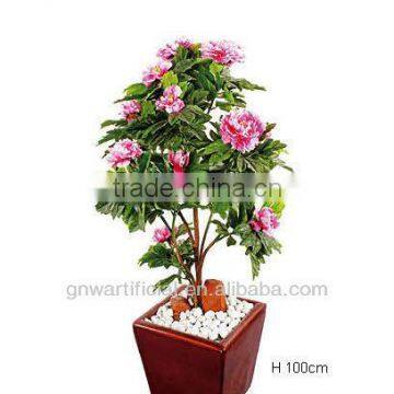 Ficus Microcarpa Bonsai Bonsai Tree Indoor Plant GNW G142 photo-2