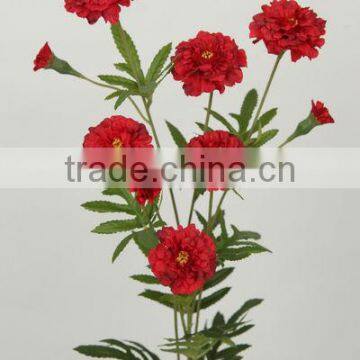 stable supplying purchase hawaiian exporting decoration marigold flower