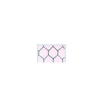 Hexagonal Wire Mesh