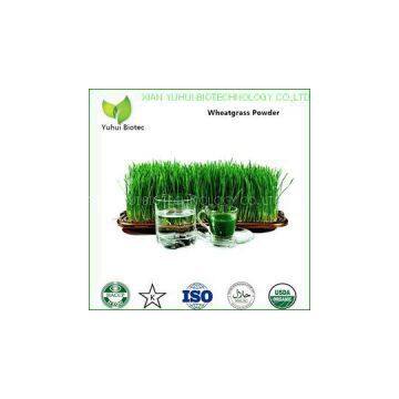 wheatgrass powder,organic wheatgrass powder,wheat grass powder,wheatgrass extract