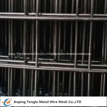 Black Welded Wire Mesh