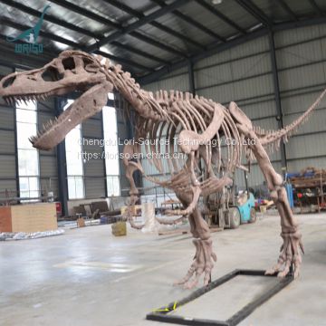 LORISO3006 Zigong artificial dinosaur fossil and skeleton for museum