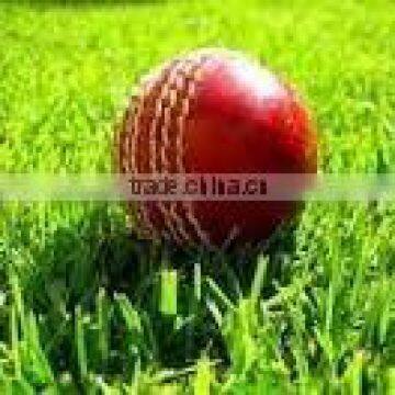 Cricket World Leather Ball