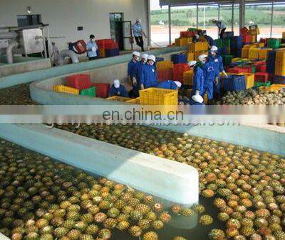 Shanghai Pineapple Peeling Machine photo-3