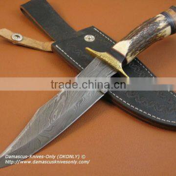 udk h29" custom handmade Damascus bowie knife/ hunting knife with stag and brass bolster