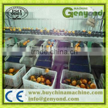 horizontal fruit grading machine