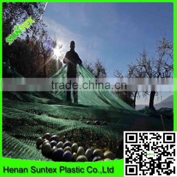 50g/sm clear olive harvesting net,plastic falling fruits protection net,olive catching mesh with reinforced grommets