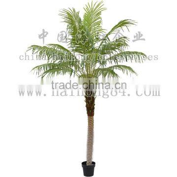 2015 indoor or outdoor natural touch artificial 1-3.5m phoenix palm tree with synthetic trunks manufactory