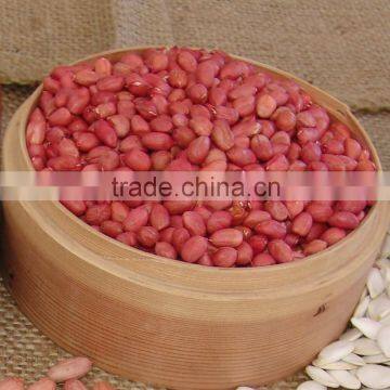 red skin peanut kernel SHANDONG