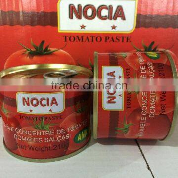 210gram Canned Tomato Paste