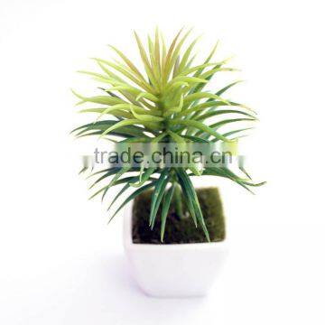 Becso Wholesale Artificial PE Potted Herb Plant for Office Desk Decoration