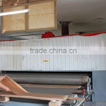 One layer veneer net dryer machine