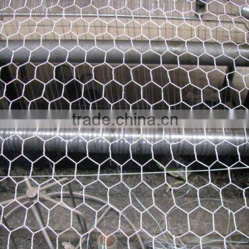 Hexagonal wire netting /chicken wire/ hexagonal wire mesh