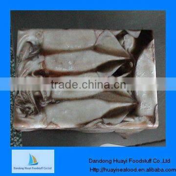 frozen recipe squid