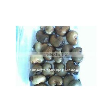 Cashew Nut In Shell DALL0000069