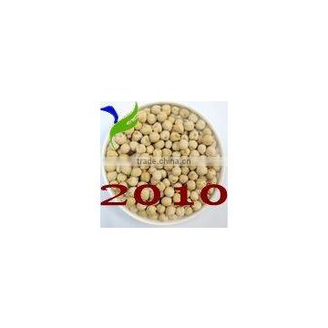 2010 new chickpea