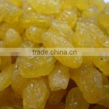 Candy Dried Golden Raisin Fruits