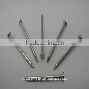 Common Round Nail/ Wire Nails/wood Nails +86 15132140964 Wechat/whatsapp photo-4