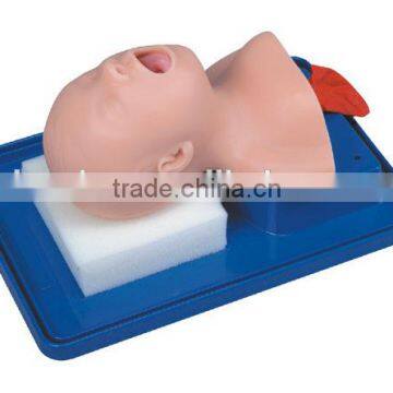 Neonate Trachea Intubation Training Model