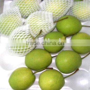 shandong pear