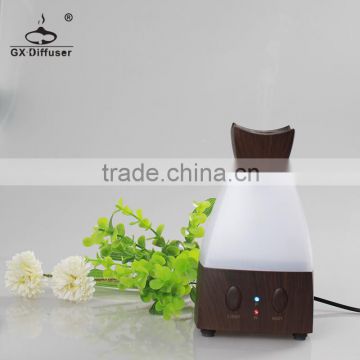 GX Diffuser portable cool mist air purifier/car humidifier