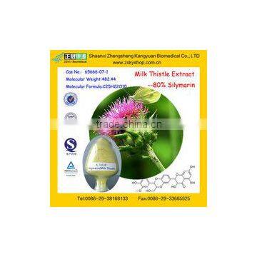 GMP Factory supply Water Soluble Milk Thistle Extract
