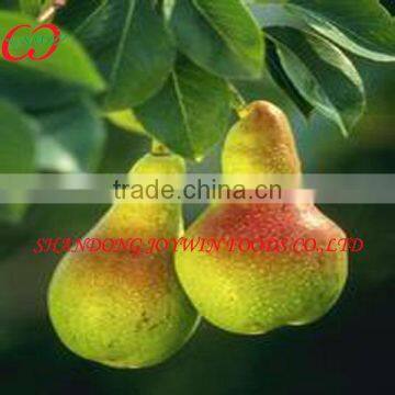 2650ml Canned Bartlett Pear In Syrup,Canned Fruit,Canned Food,Canned Product Manufacturer