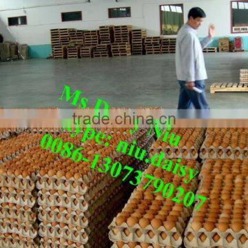 Automatic Egg Weighing Grading Machine/egg Grading Packing Machine/egg Grader for Packing photo-6